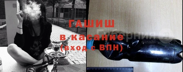 гашик Алексин