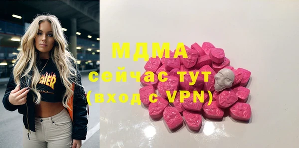 гашик Алексин