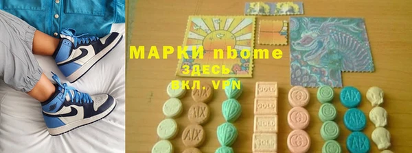 гашик Алексин