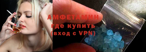 гашик Алексин