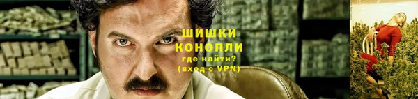 гашик Алексин
