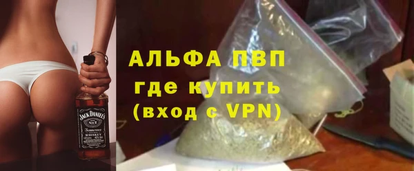 гашик Алексин