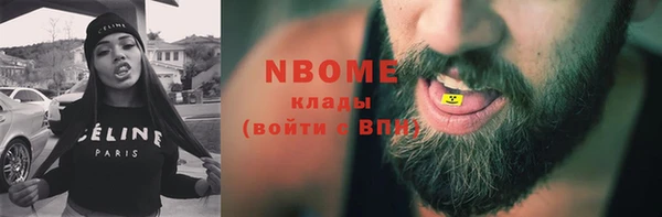 гашик Алексин