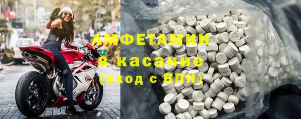 гашик Алексин