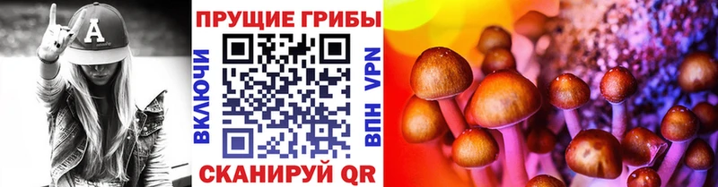 Галлюциногенные грибы Psilocybe  как найти   Заволжск 